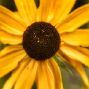 Meet your Posher, Mary beth